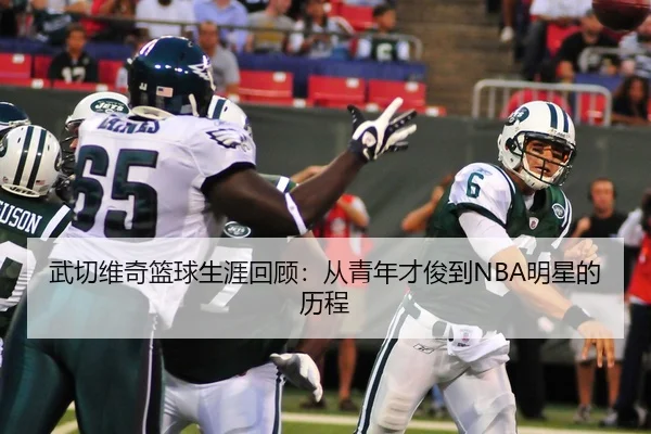 武切维奇篮球生涯回顾：从青年才俊到NBA明星的历程